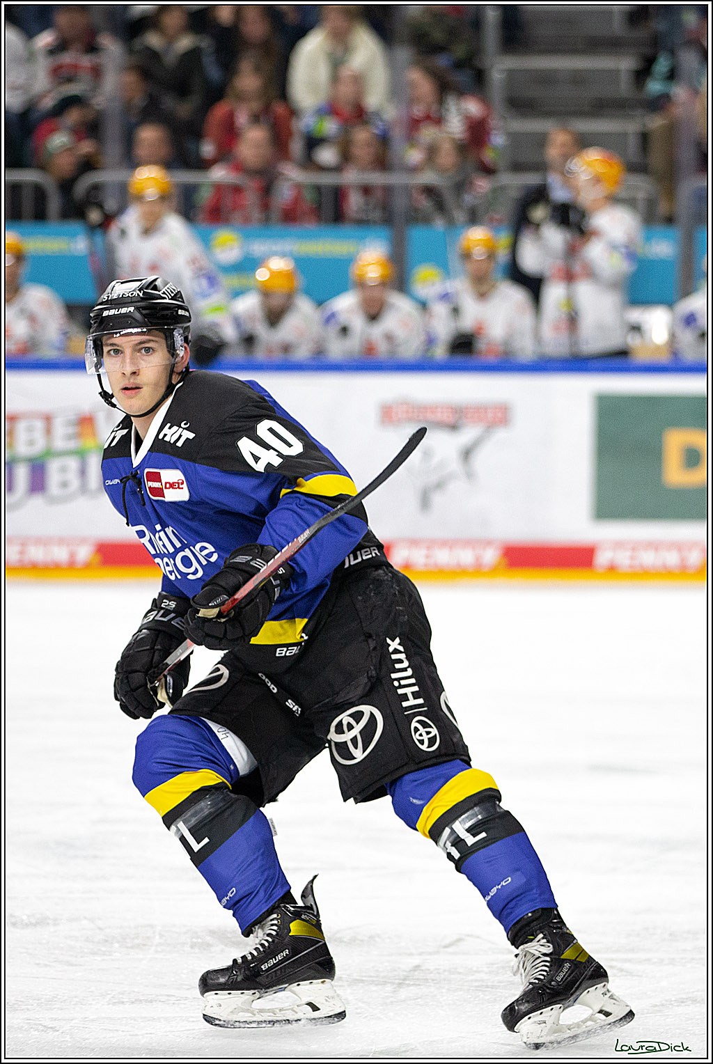 PENNY DEL; Koelner Haie- Fishtown Pinguins Bremerhaven; Koeln, 23.11.2021